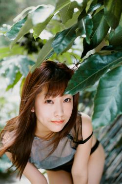 皓玉真仙
